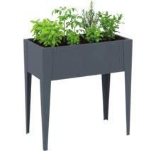 Hochbeet mit Kräutern und Gemüsepflanzen