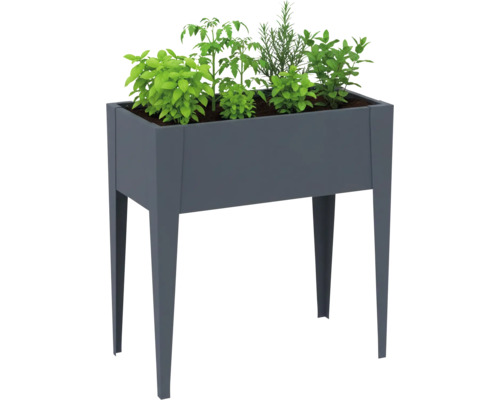 Hochbeet mit Kräutern und Gemüsepflanzen