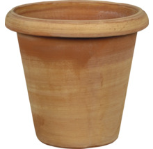 Blumentopf aus Terrakotta