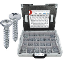 Sortiment verzinkter Blechschrauben in Sortierbox