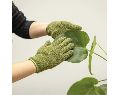 Hände mit Gartenhandschuhen reinigen ein Pflanzenblatt