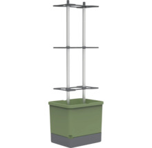 Pflanzkasten mit Rankhilfe für den Garten