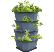 Mehrstöckiger Pflanzbehälter mit Kartoffelpflanzen