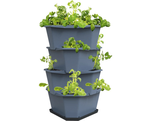 Mehrstöckiger Pflanzbehälter mit Kartoffelpflanzen