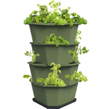 Mehrstöckiger Pflanzbehälter mit Pflanzen