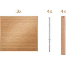 Drei Holzzaunelemente, vier Metallpfosten und vier Zaunpfosten mit Abdeckung