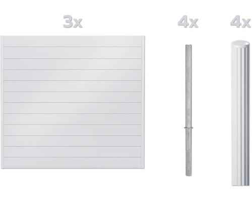 Zaunelement mit Zaunpfosten