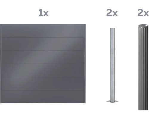 Zaunelement mit zwei Zaunpfosten
