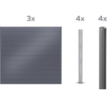 Elemente für einen Zaun: drei Zaunelemente und vier Zaunpfosten