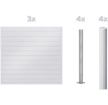Zaunfeld mit Zaunpfosten aus Metall, Set