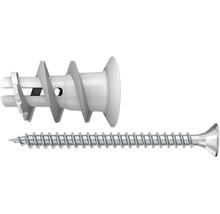 Kunststoff-Hohlraumdübel mit Schraube