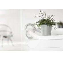 Grauer Ecopots Blumentopf mit grüner Pflanze in einer hellen, modernen und minimalistischen Umgebung.