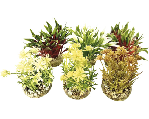 Sydeco Kunststoffpflanze Nano Flowering Bush 10 cm zufällige Sortenauswahl Drei künstliche Pflanzen in Töpfen mit Kieselsteinen