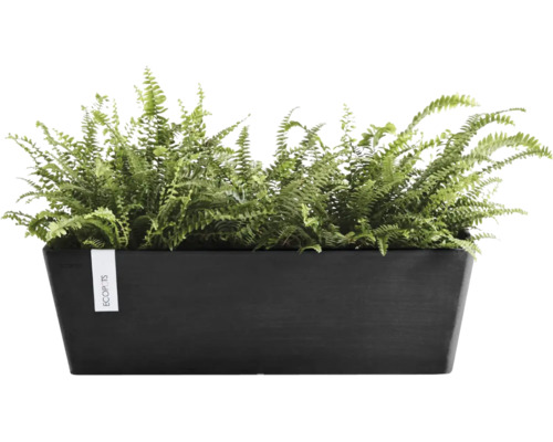 Rechteckiger schwarzer Ecopots Pflanzkasten mit grünen Farnen.