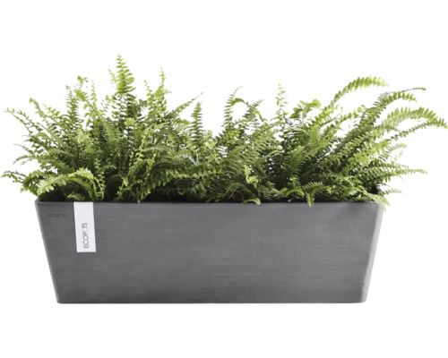 Anthrazitfarbener rechteckiger Ecopots Pflanzkasten aus recyceltem Kunststoff mit grünen Farnen.