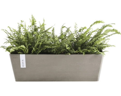 Rechteckiger Pflanzkasten von ECOPOTS bepflanzt mit grünen Farnen.