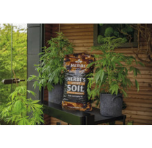 Herbi's Living Soil Pflanzenerde mit Pflanzen in Töpfen auf einem Regal.