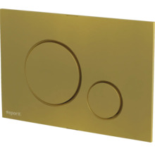 Betätigungsplatte für Spülkasten mit zwei Tasten