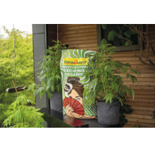 Floragard Professional Growmix Organic Pflanzerde mit Pflanzen auf einem Tisch.