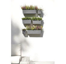 Graue Wandblumenkästen mit Heidekraut und Grünpflanzen, angeordnet als organisierter vertikaler Garten an einer hellen Terrassenwand.