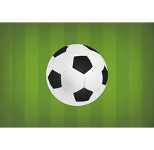 Fußball auf Rasen