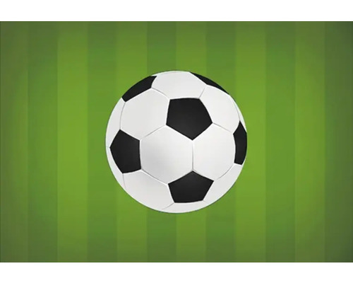 Fußball auf Rasen