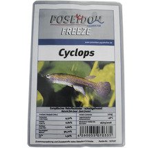 Poseidon Freeze Cyclops Fischfutter, tiefgefroren