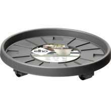 Rolluntersetzer für Pflanzgefäße