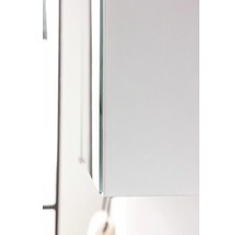 Detailaufnahme eines Badezimmerschranks mit Glastür