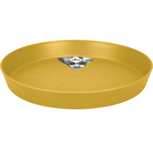 Gelber Untersetzer für Pflanzentöpfe