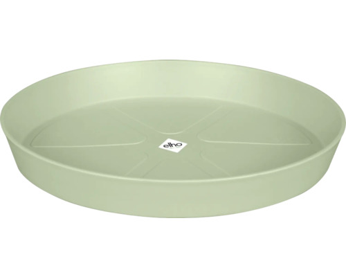 Pflanzenuntersetzer aus Kunststoff