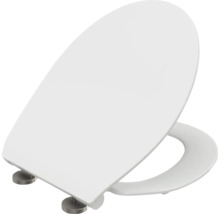 Toilettendeckel aus Kunststoff