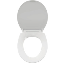 Toilettendeckel aus Sanitärkeramik