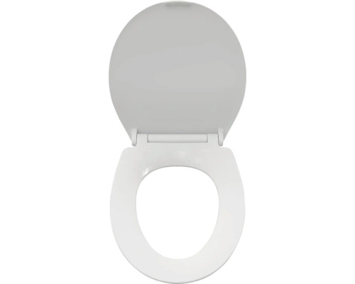 Toilettendeckel aus Sanitärkeramik