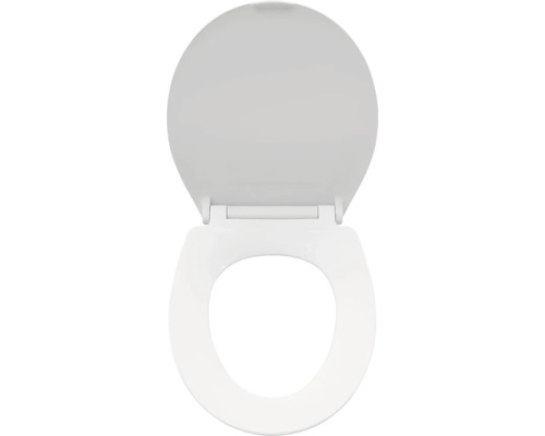 Toilettendeckel aus Kunststoff, offene Position