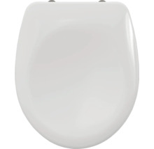 Toilettendeckel aus Sanitärkeramik