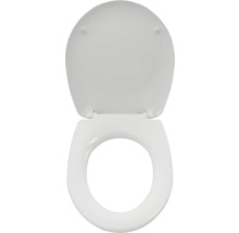 Toilettendeckel mit geöffnetem Deckel