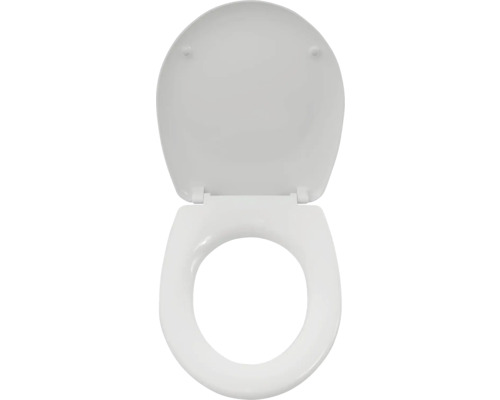 Toilettendeckel mit geöffnetem Deckel