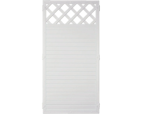 Sichtschutzelement mit Latten und Rankgitter