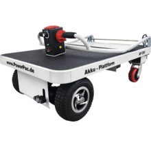 Akku Plattformwagen AP 250