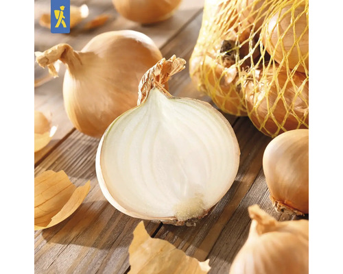 Zwiebeln, einige angeschnitten, auf Holztisch