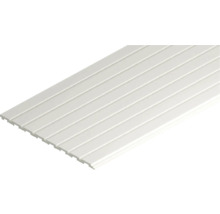 Weiße Kunststoff Nut- und Federverkleidung