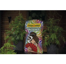 Flora Gard Professional Growmix Pflanzerde Sack
