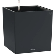 Lechuza Cube Pflanzkübel mit Wasserstandsanzeiger