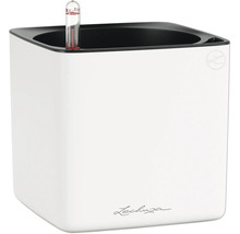 Lechuza Classico Pflanzgefäß mit Wasserstandsanzeiger