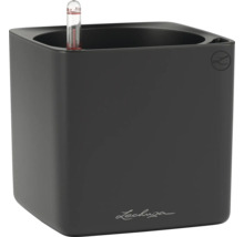Schwarzer Lechuza Blumentopf mit Wasserstandsanzeiger