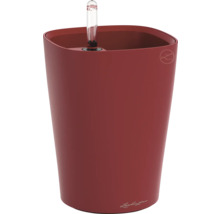 Lechuza Classico Topf mit Bewässerungssystem