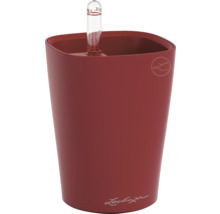 Lechuza Classico Color 21 Pflanzgefäß mit Bewässerungssystem