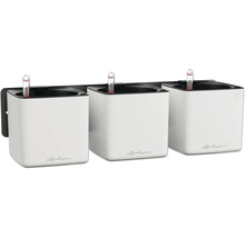 Drei weiße Lechuza Cube Pflanzgefäße zur Wandmontage mit Wasserstandsanzeiger.