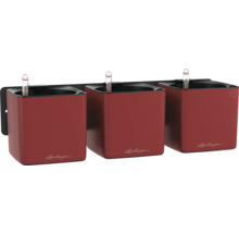 Drei rote Lechuza Cube Pflanzgefäße mit Bewässerungssystem an einer schwarzen Wandhalterung.